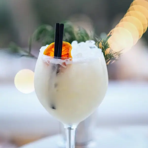coctelebra bebidas